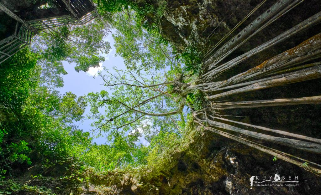 Cenote- Kuyabeh